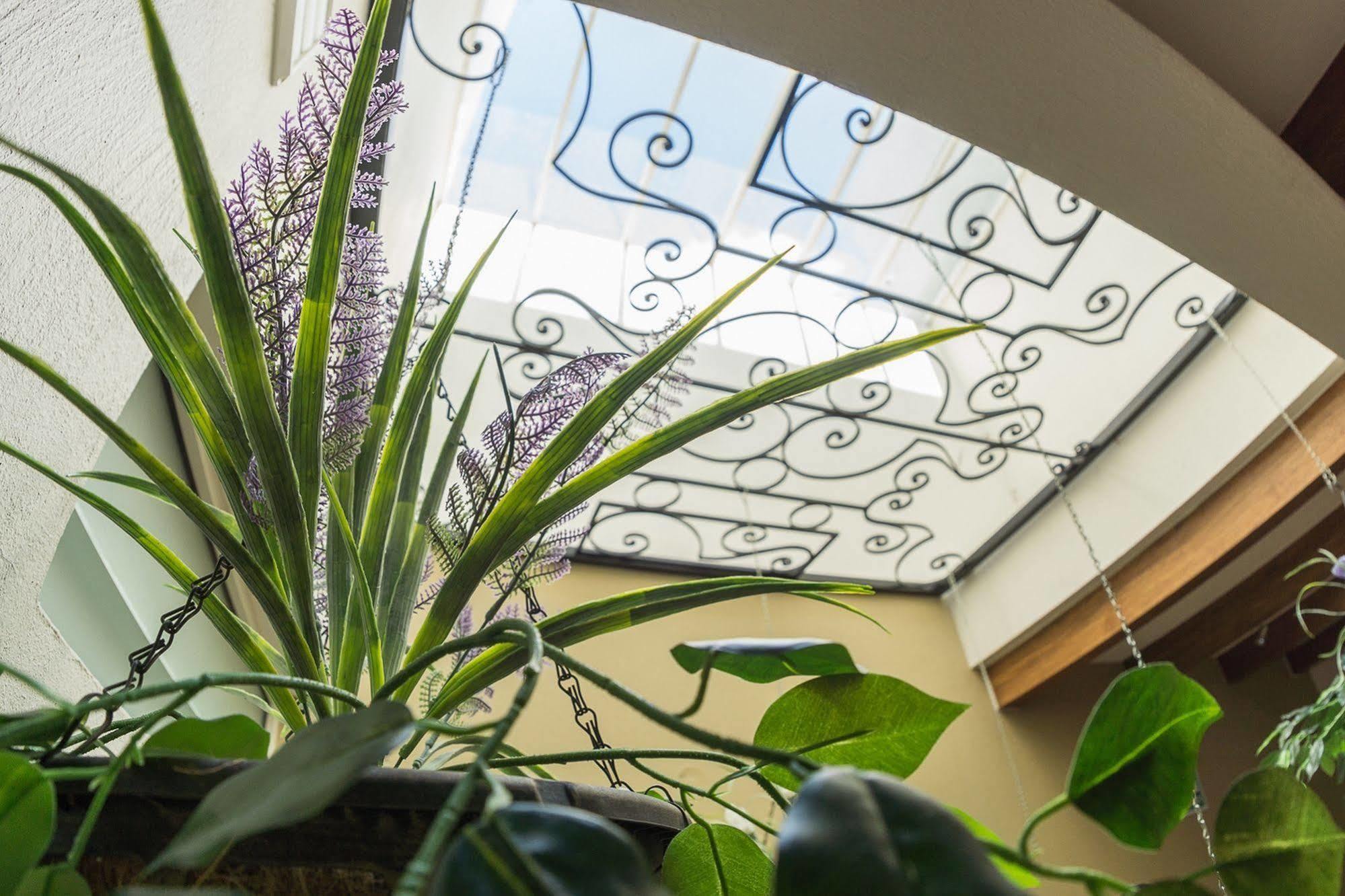 San Pietro Boutique Hotel Tlaquepaque Zewnętrze zdjęcie